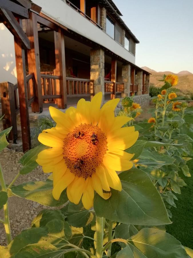 Anemomylos House Exo Mouliana Eksteriør bilde